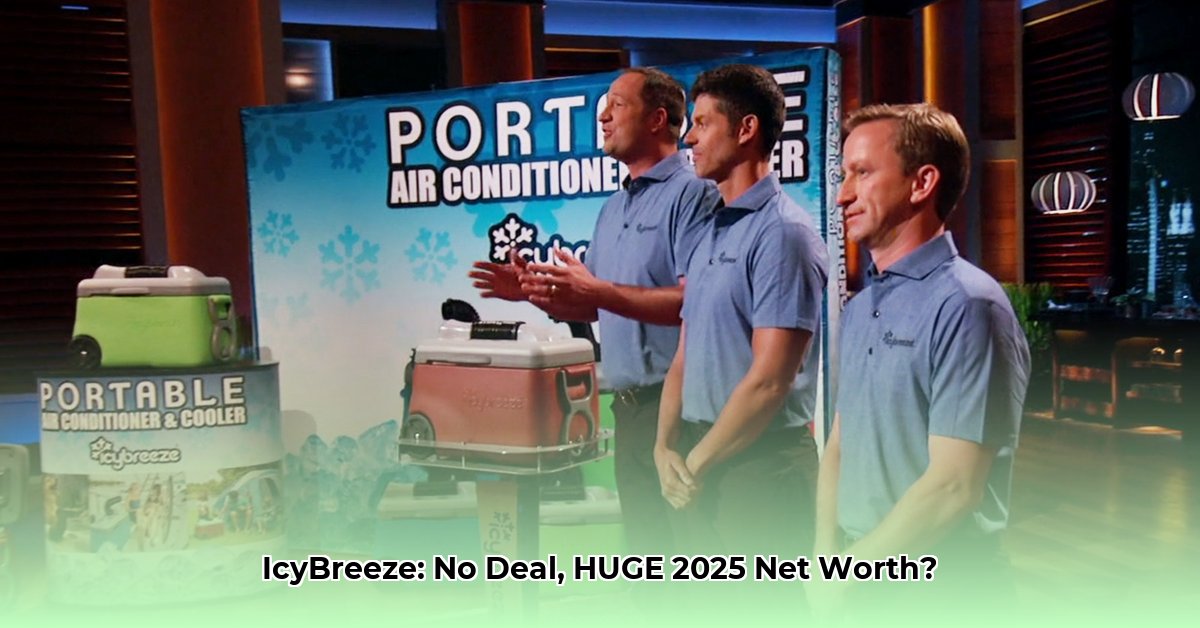 icybreeze-shark-tank-net-worth